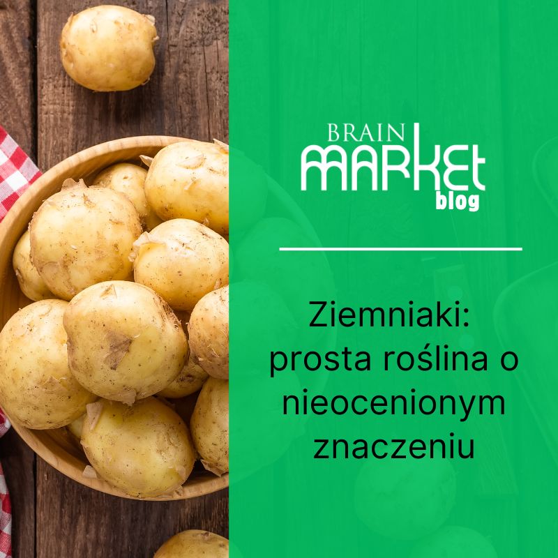 Ziemniaki: Prosta roślina uprawna o nieocenionym znaczeniu