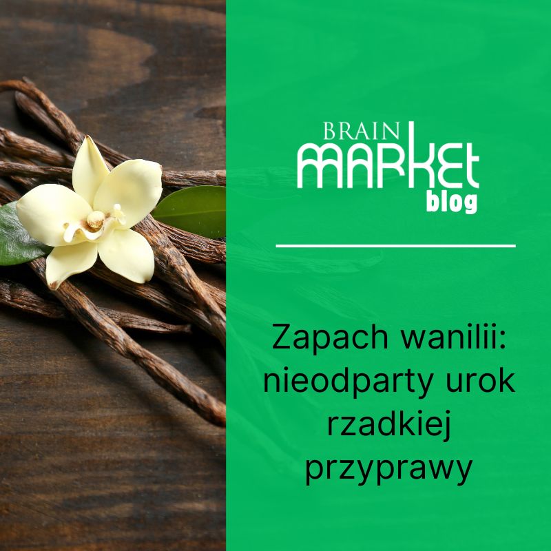 Zapach wanilii: Nieodparty urok rzadkiej przyprawy