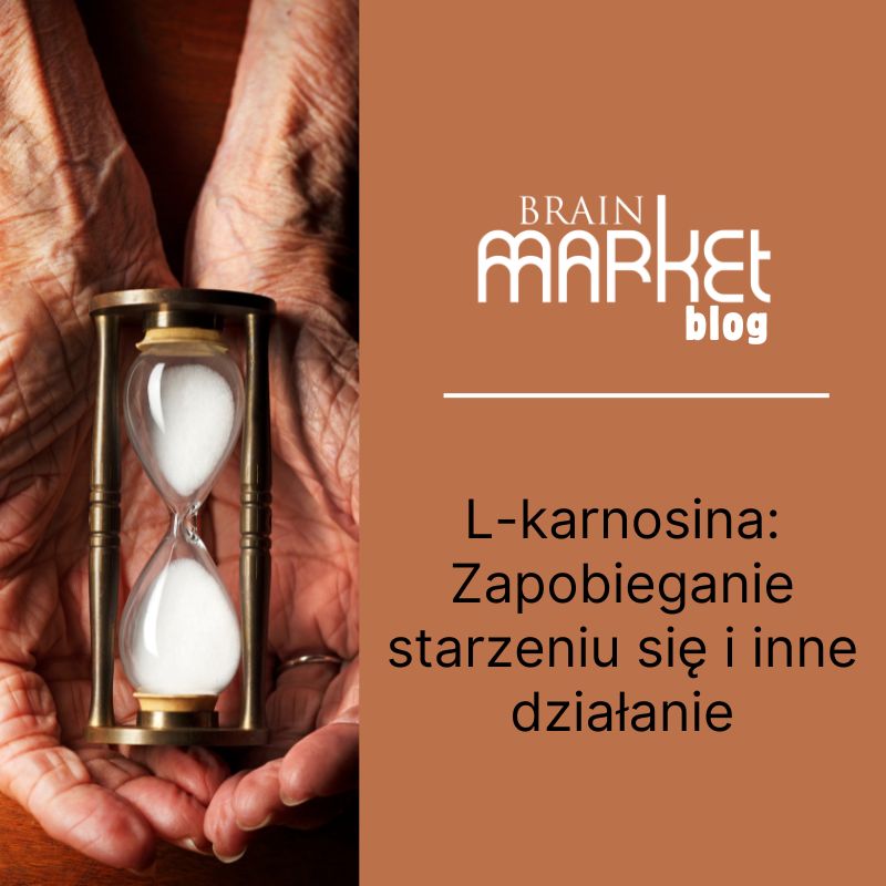 L-karnozyna: Zapobieganie starzeniu się i inne efekty