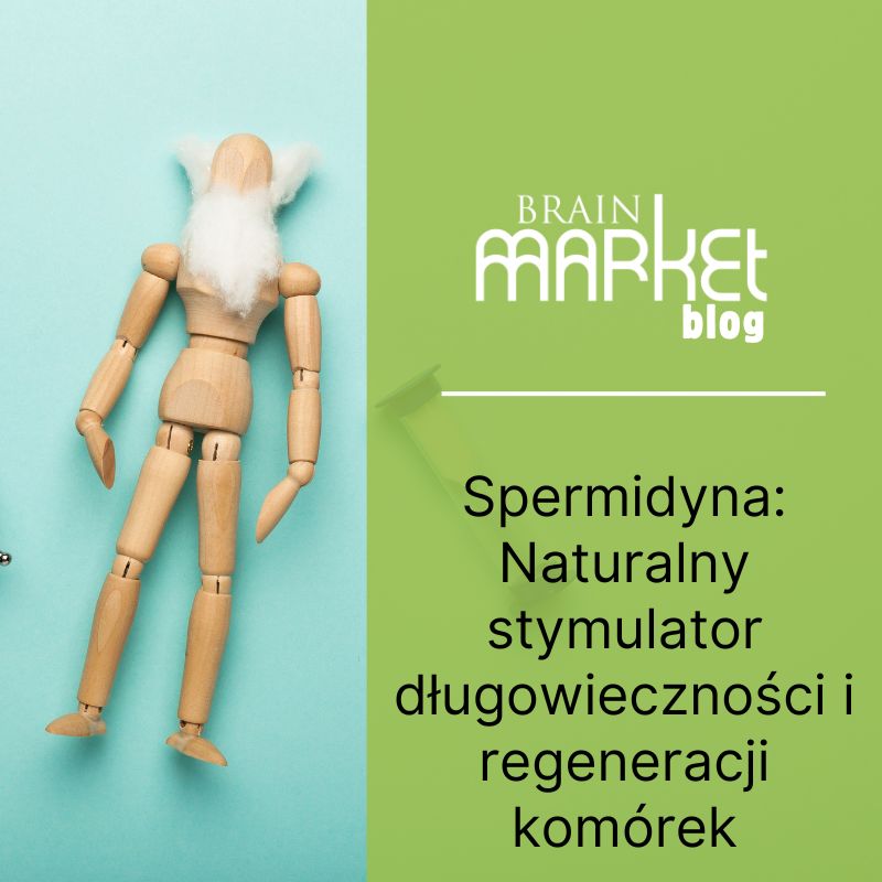 Spermidyna: Naturalny stymulator długowieczności i regeneracji komórek