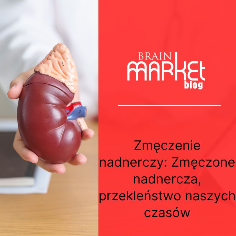 Zespół przewlekłego zmęczenia nadnerczy: Zmęczone nadnercza, przekleństwo naszych czasów