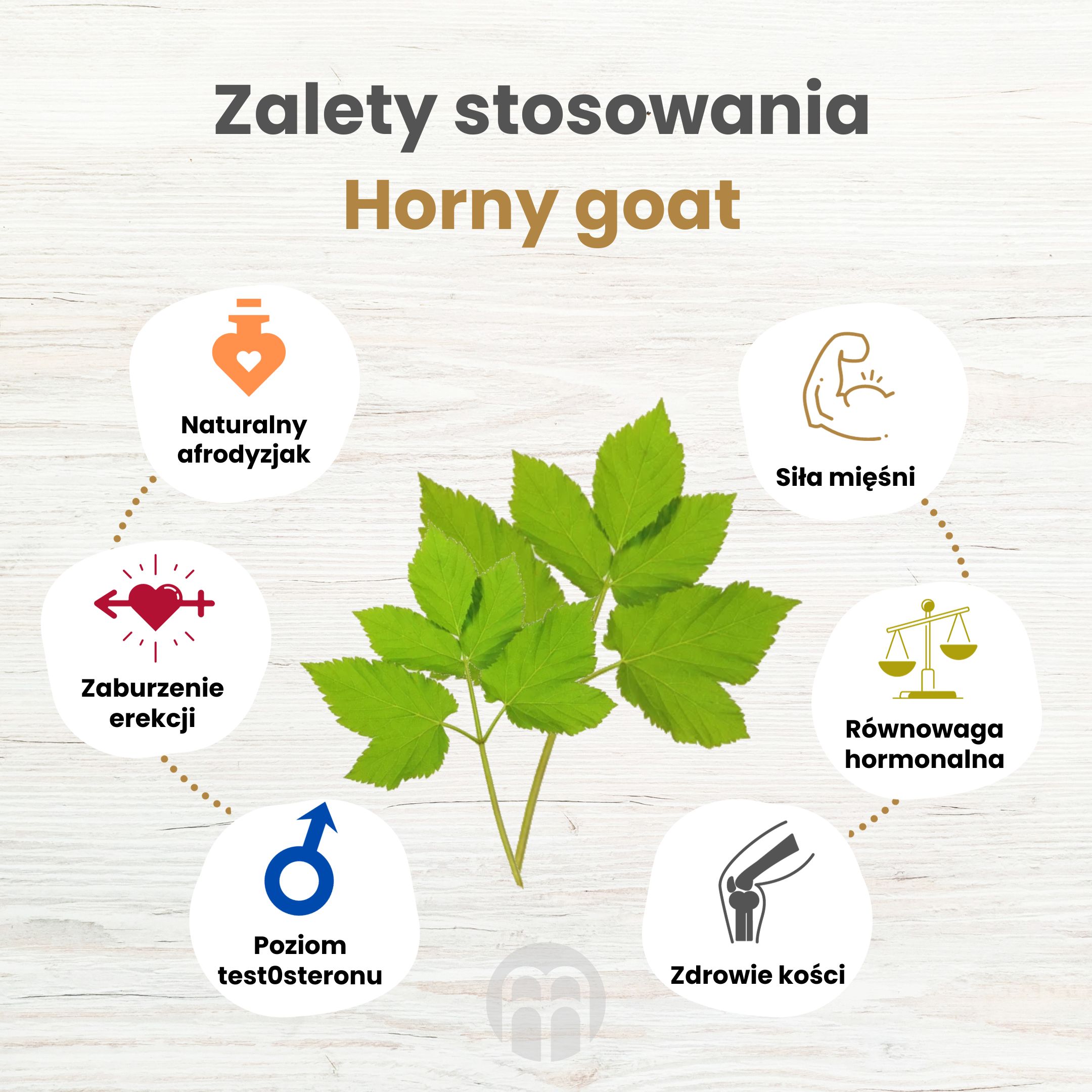 Horny goat - zioło na libido, potencję i podniesienie poziomu test0steronu