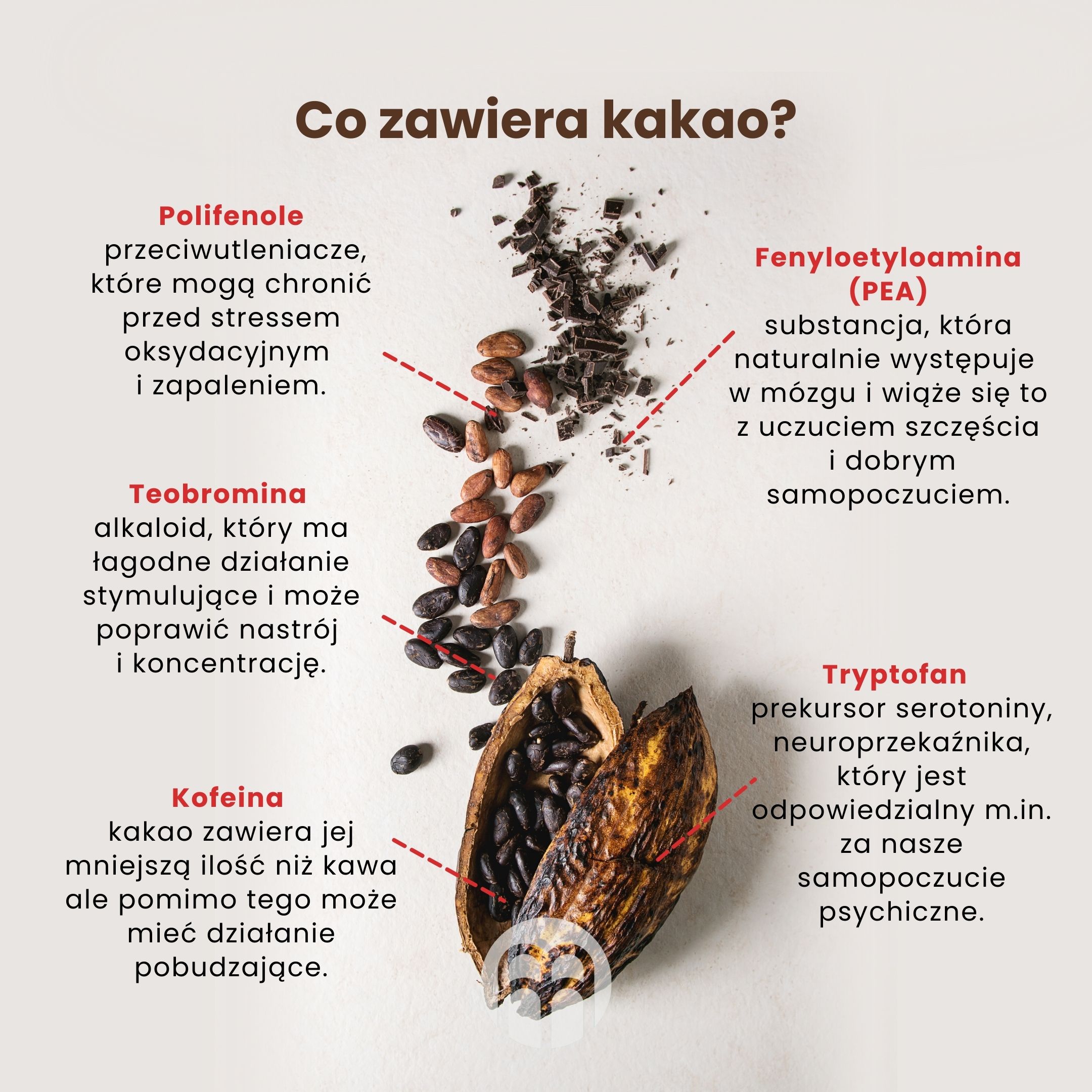 Co zawiera kakao i co warto o nim wiedzieć?