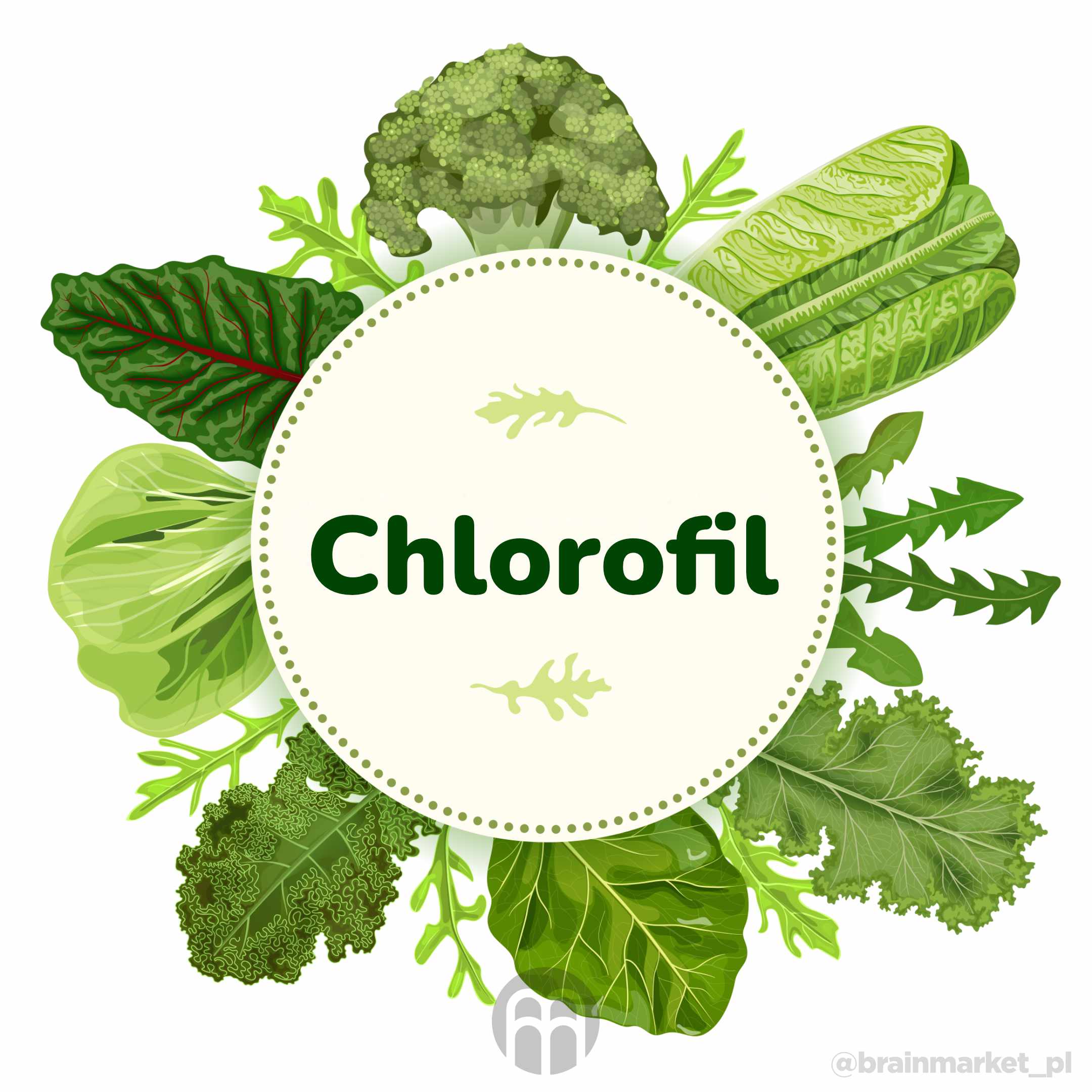 Chlorofil - najlepszy naturalny pigment do detoksykacji