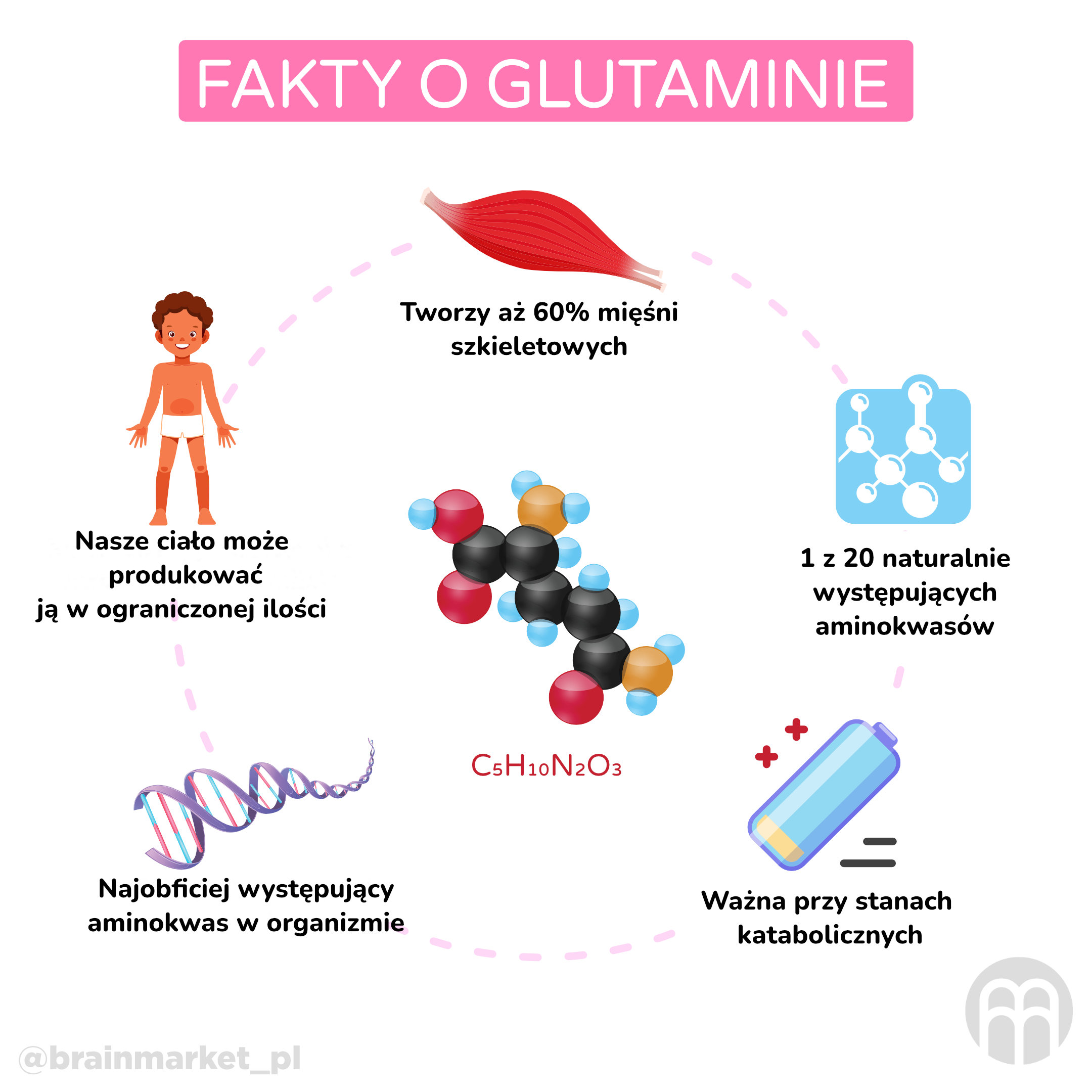 L-Glutamina: aminokwas pełen korzyści