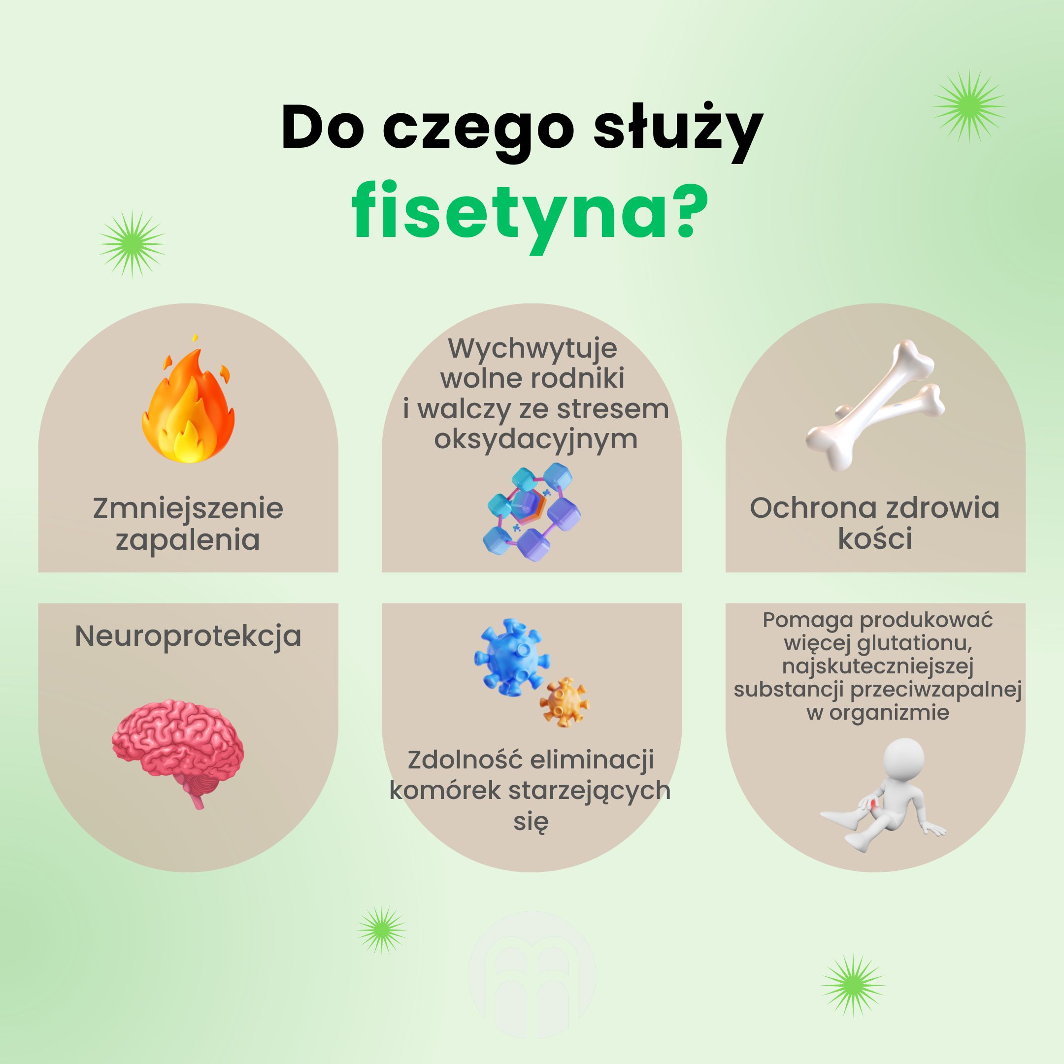 Fisetyna: klucz do długowieczności?