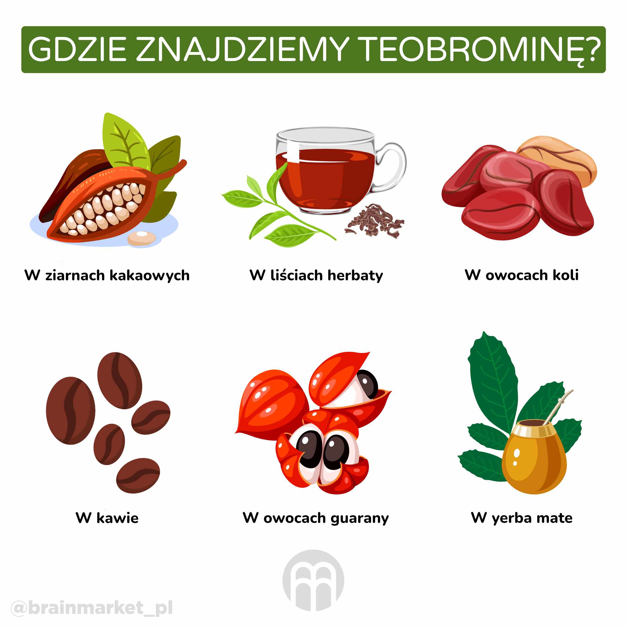 Teobromina i jej zalety