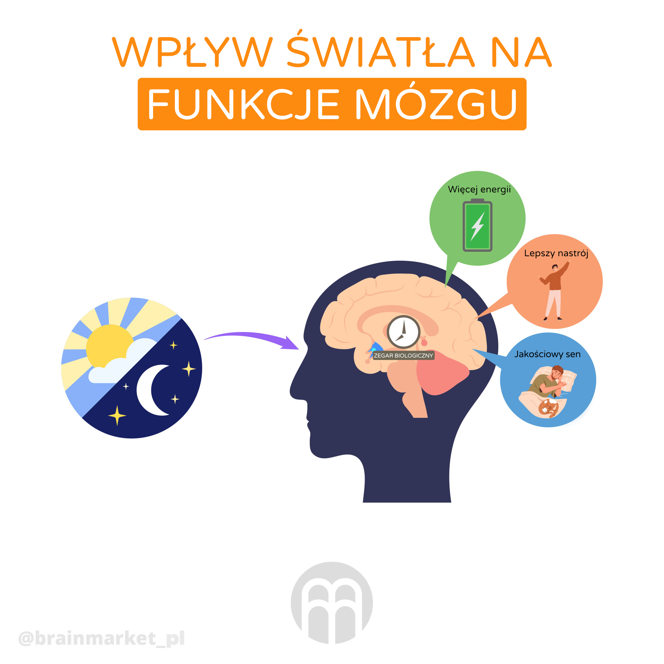 Wpływ światła na nasze funkcje poznawcze