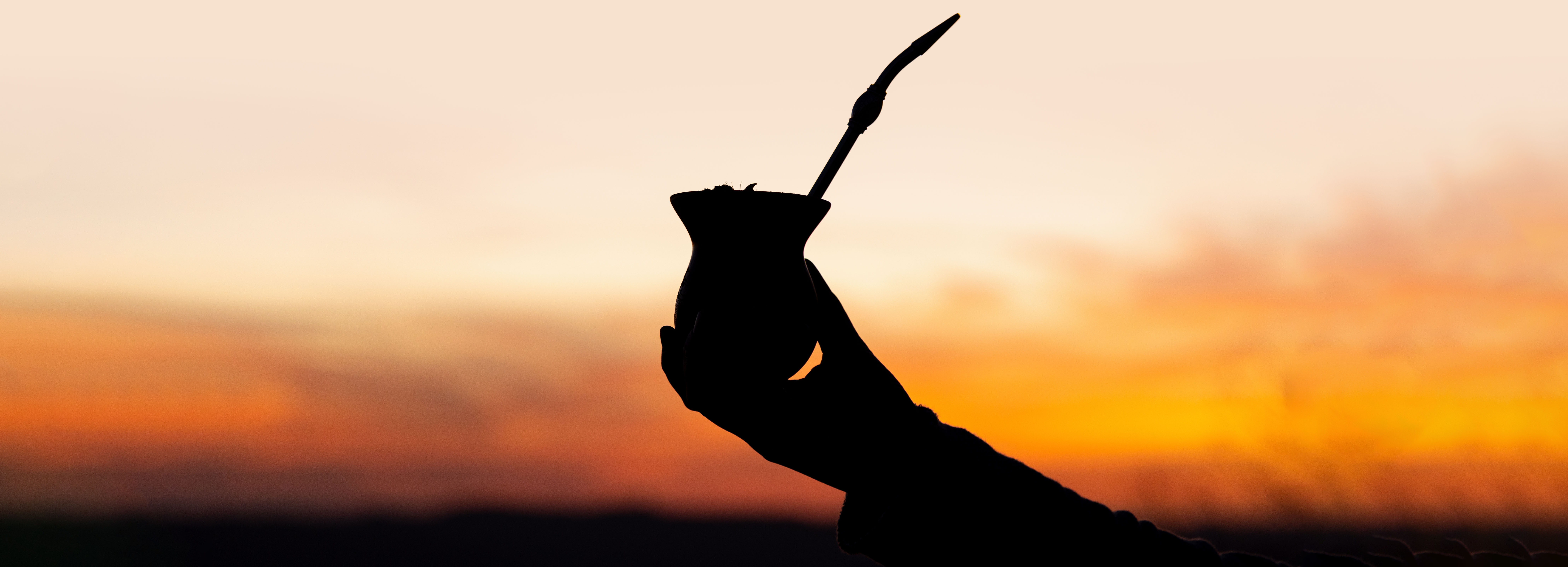 Yerba mate - zastrzyk energii i źródło witalności