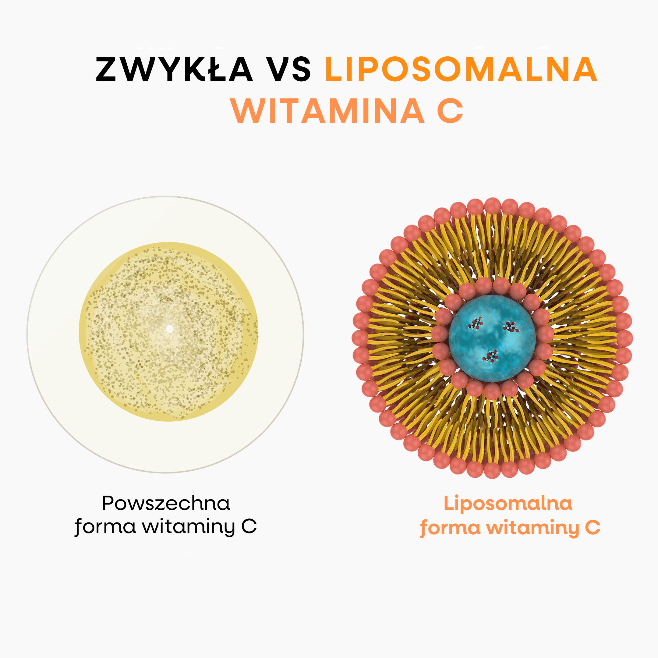 bezny vs lipo