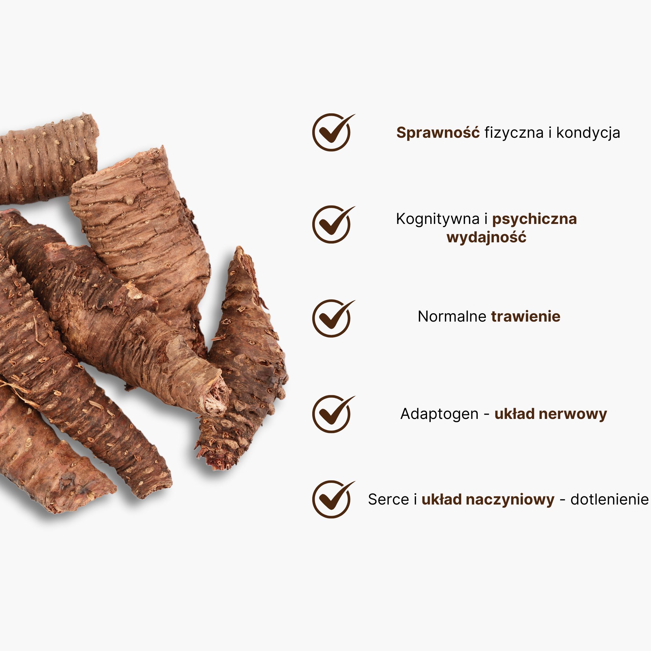 rhodiola rosea infografika