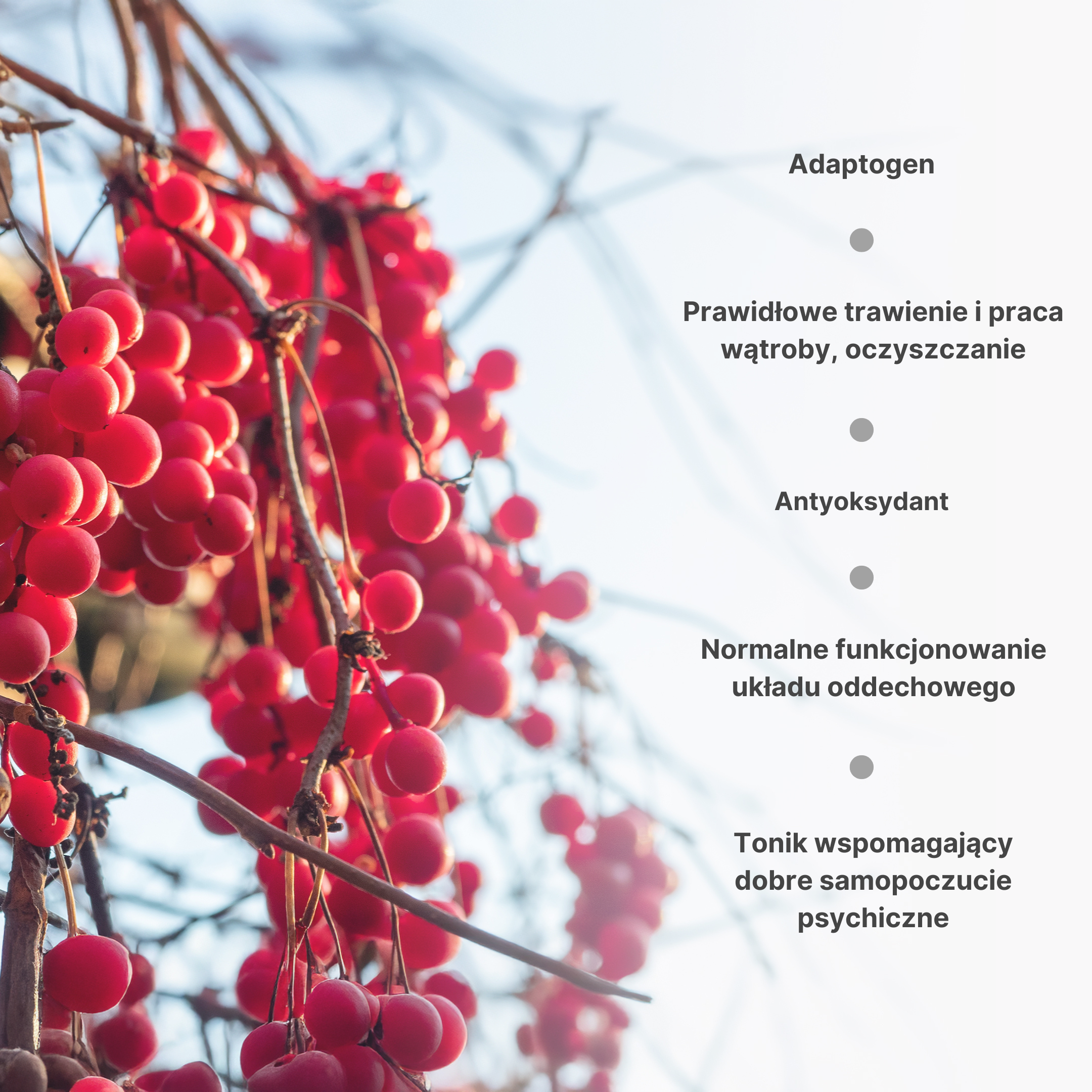 (Polština) - 2025-08-28T115639.858