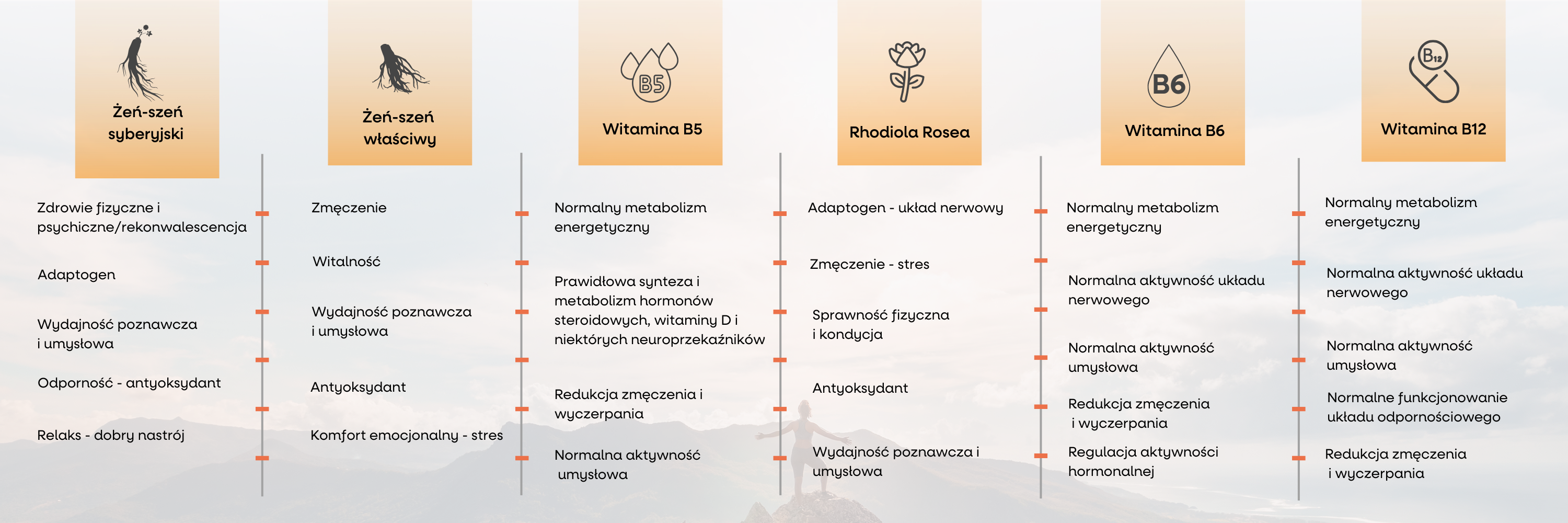(Polština) - 2025-08-28T115723.540