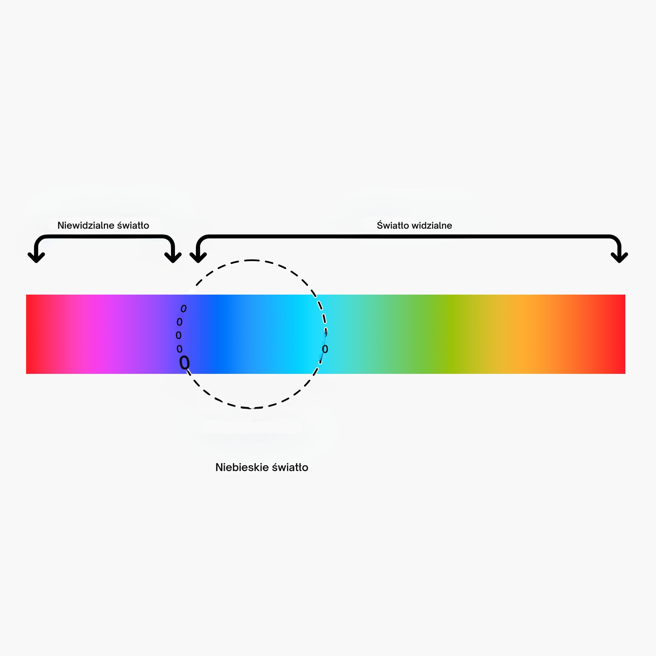(Polština) - 2024-10-01T092824.730