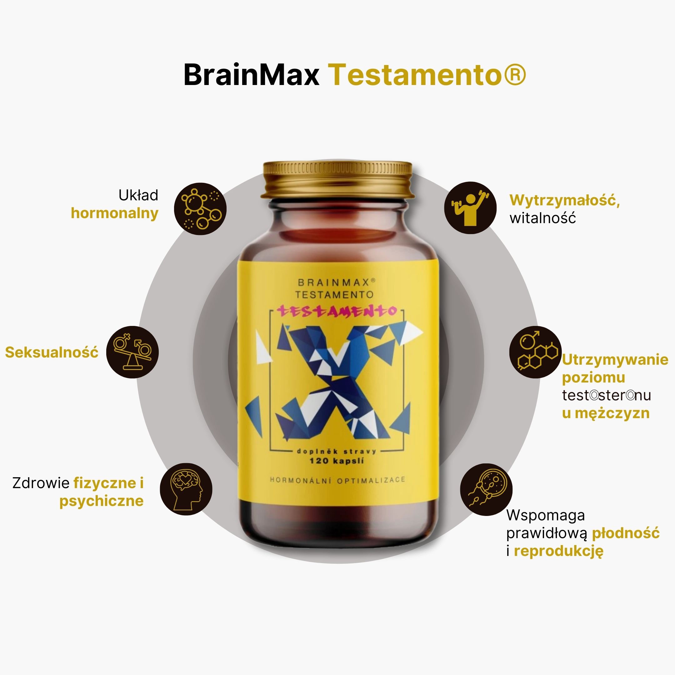 infografika testameno