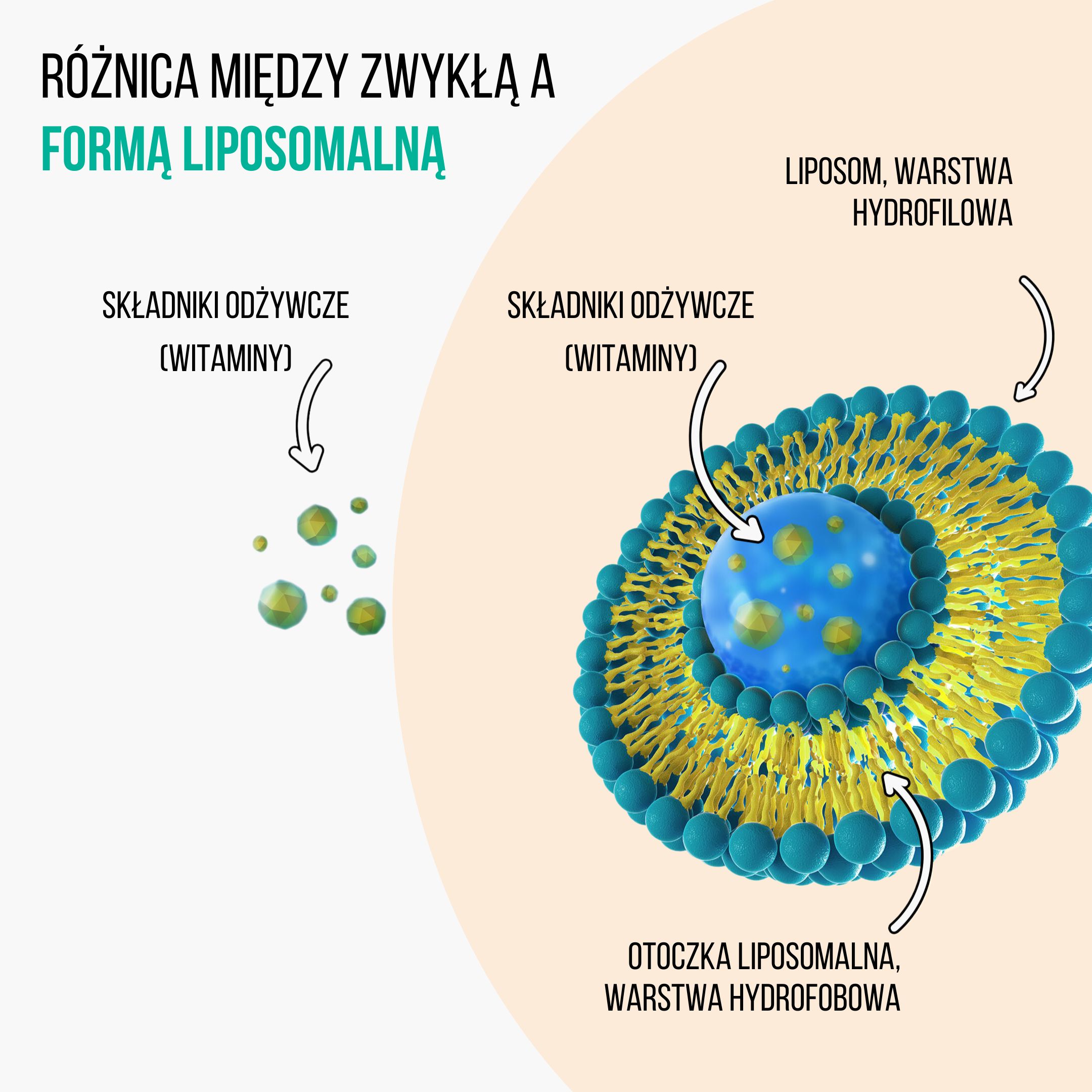 immunity kids produkt liposom2