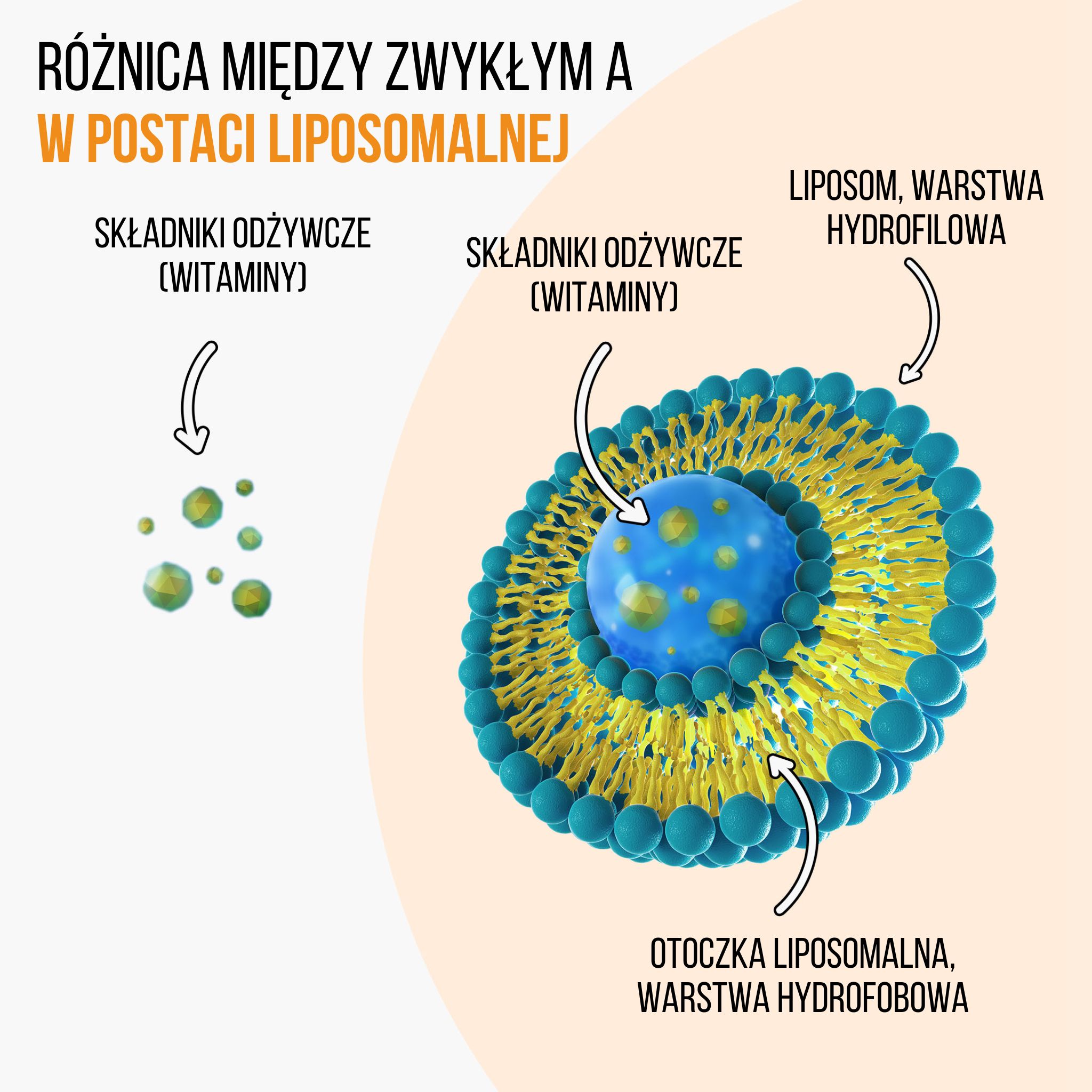 lipo vs bezna forma vitamin