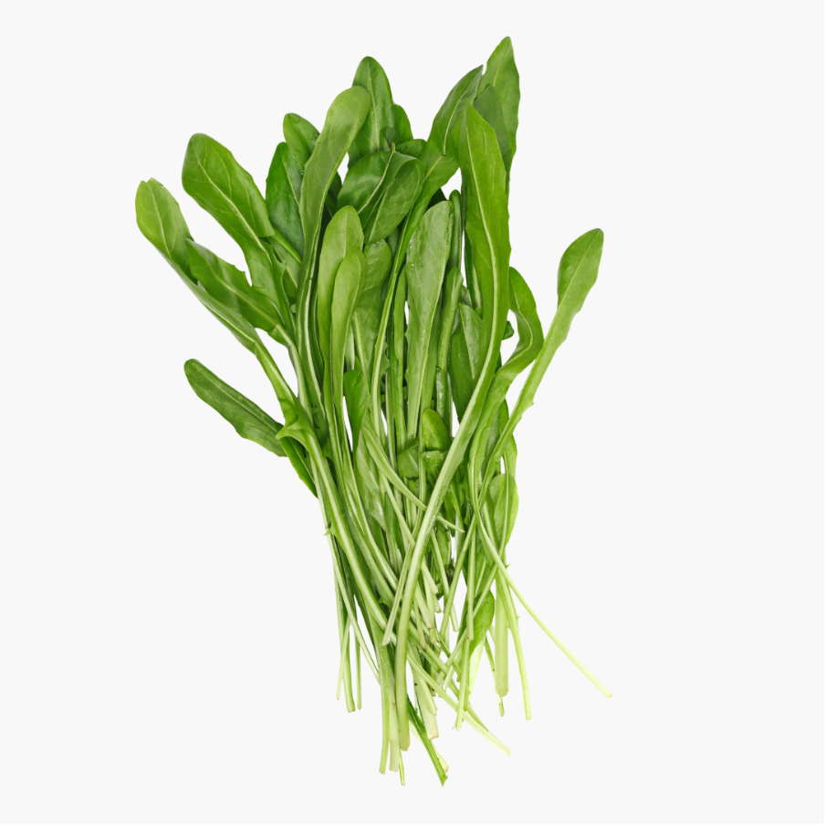 agawa inulina białko kobiece