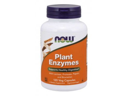 Plant enzymes