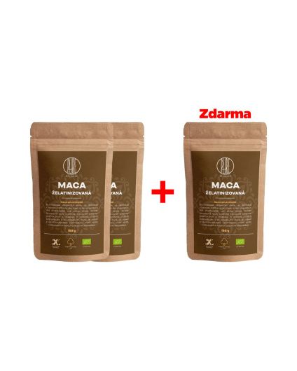 BrainMax Pure® Maca żelatynizowana BIO proszek, 150 g, 2+1 GRATIS