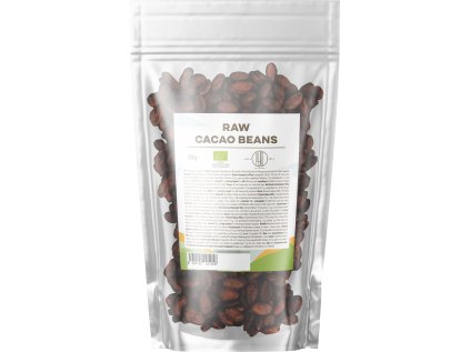 raw cacao beans