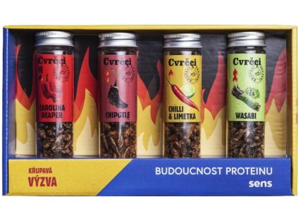 Snímek obrazovky 2024 12 09 v 8.32.56