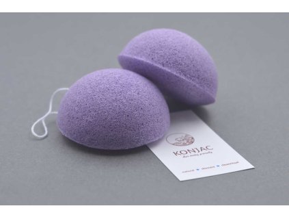 fialova polgula nova mal2