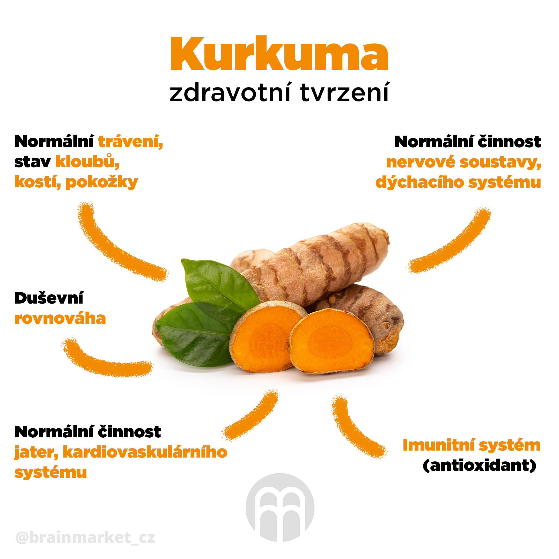 BrainMax Pure Kurkuma BIO prášek, sampler, 15 g Obrázek