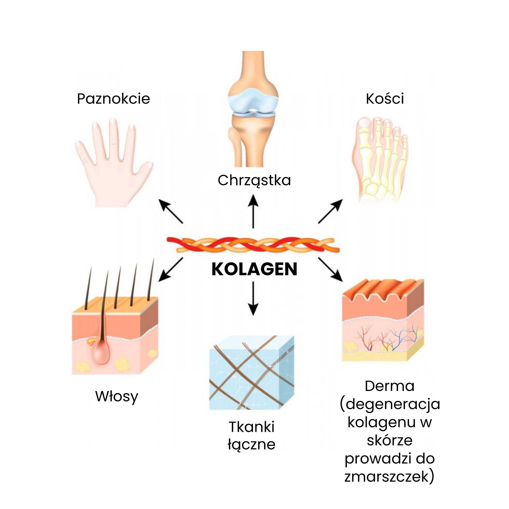 BrainMax Lipozomální Kolagen komplex, 250 ml Obrázek