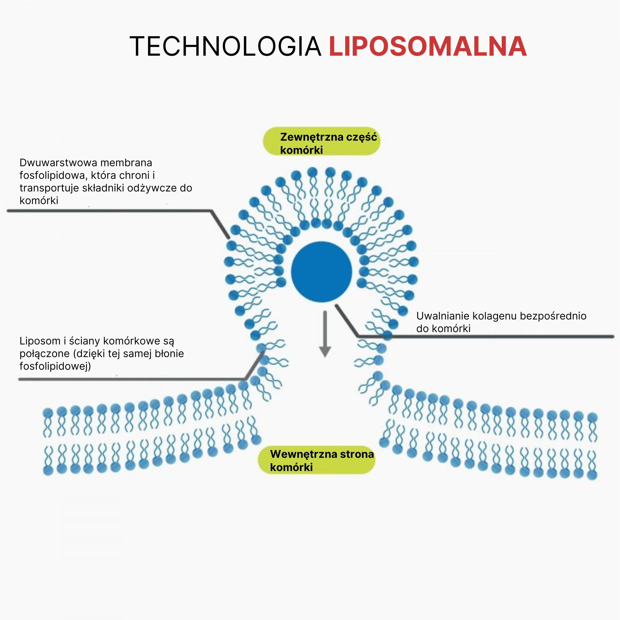 BrainMax Lipozomální Kolagen komplex, 250 ml Obrázek