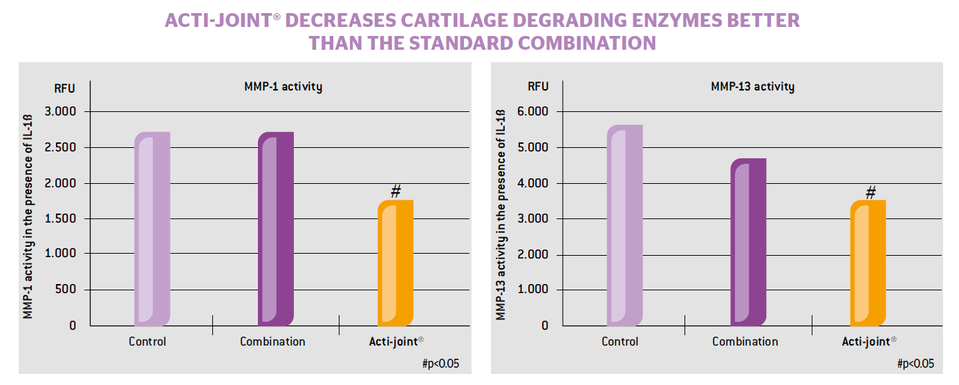 BrainMax Lipozomální Kloubní výživa, Acti-Joint® 250 ml Obrázek