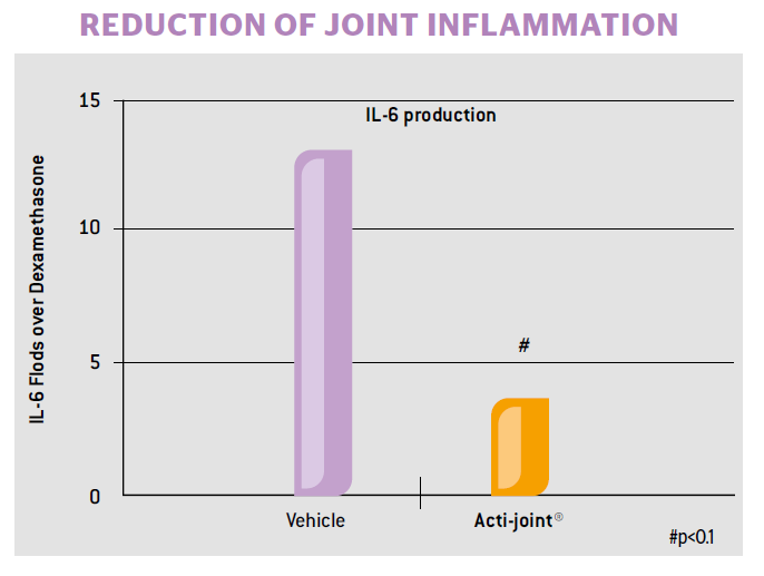 BrainMax Lipozomální Kloubní výživa, Acti-Joint® 250 ml Obrázek