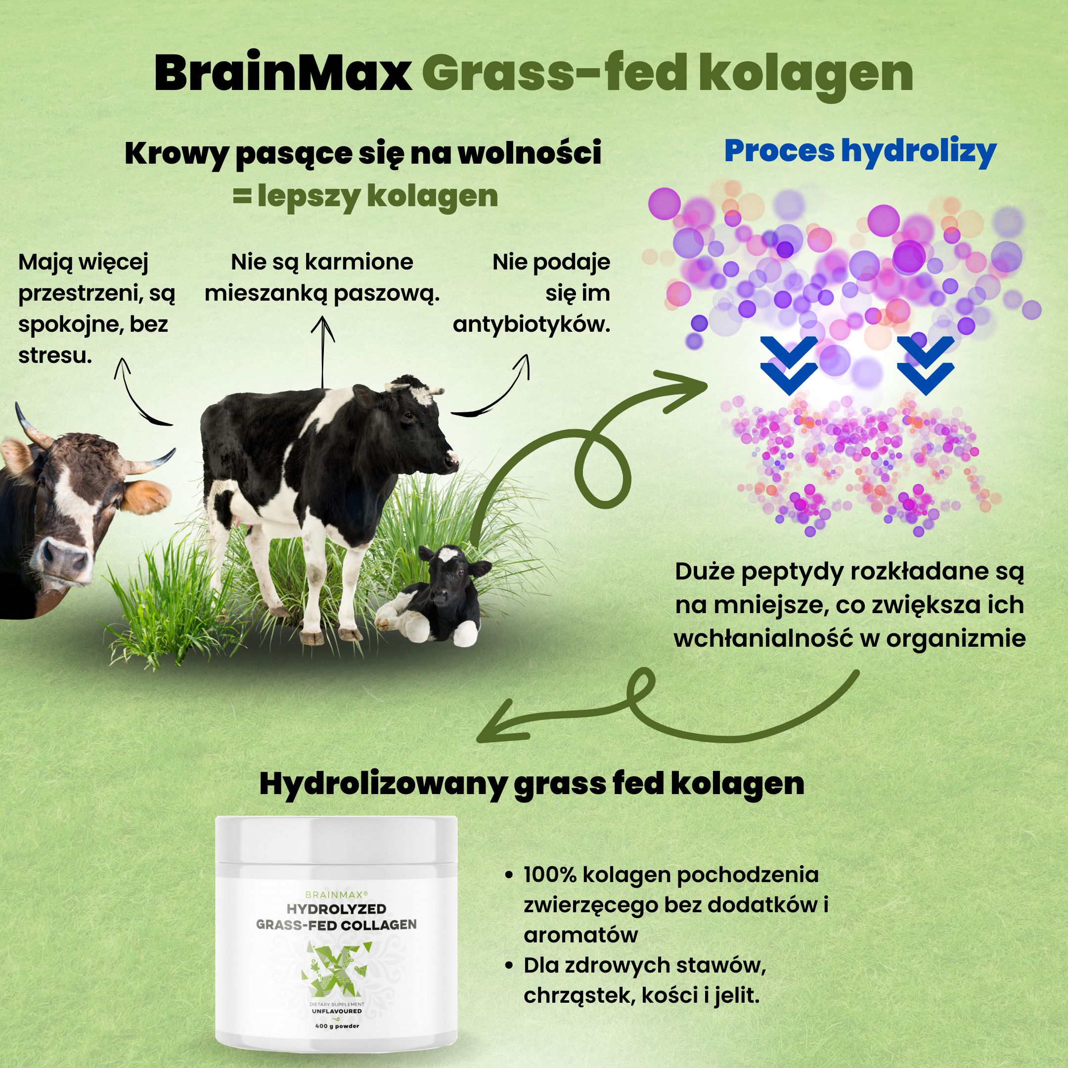 BrainMax Hydrolyzovaný Kolagen, Grass-fed Collagen, 400 g Obrázek