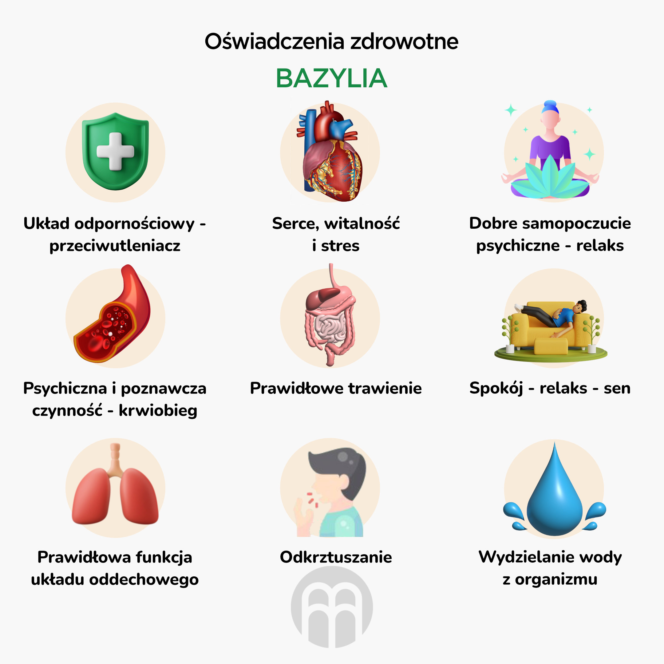 BrainMax Pure Bazalka posvátná, Holy Basil, tinktura 1:5, 100 ml Obrázek
