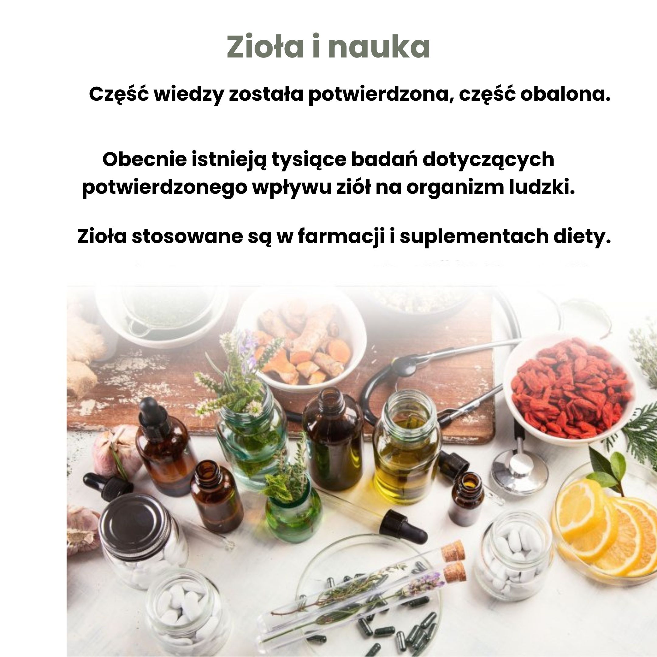 BrainMax Pure Bazalka posvátná, Holy Basil, tinktura 1:5, 100 ml Obrázek