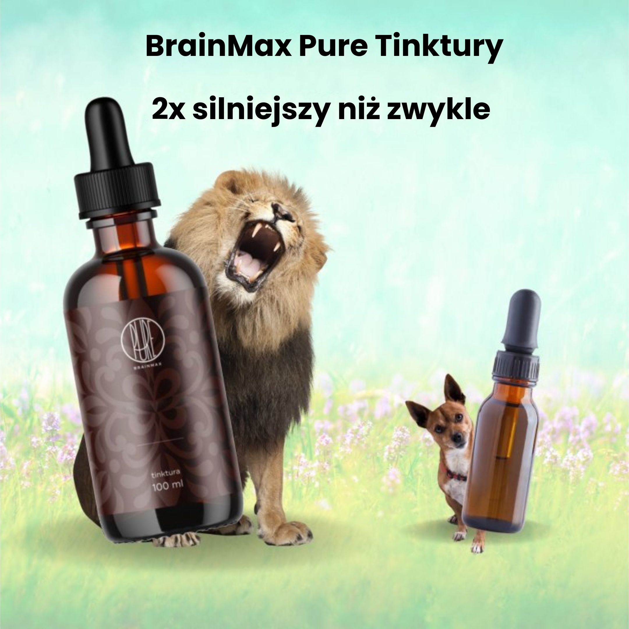 BrainMax Pure Lion's Mane (Hericium) tinktura 1:2, 100 ml Obrázek