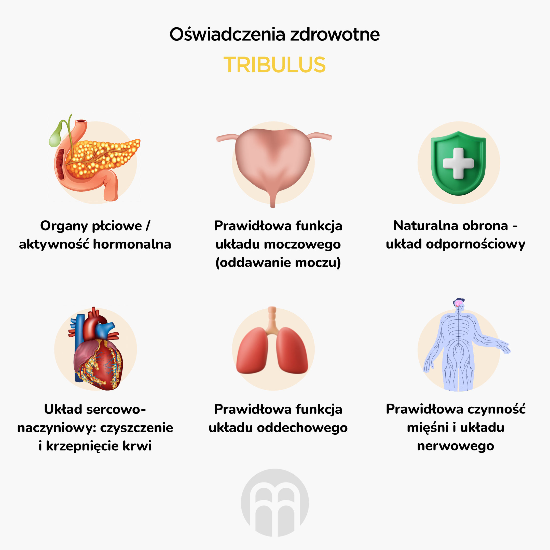BrainMax Pure Tribulus, Kotvičník zemní, tinktura 1:3, 100 ml Obrázek