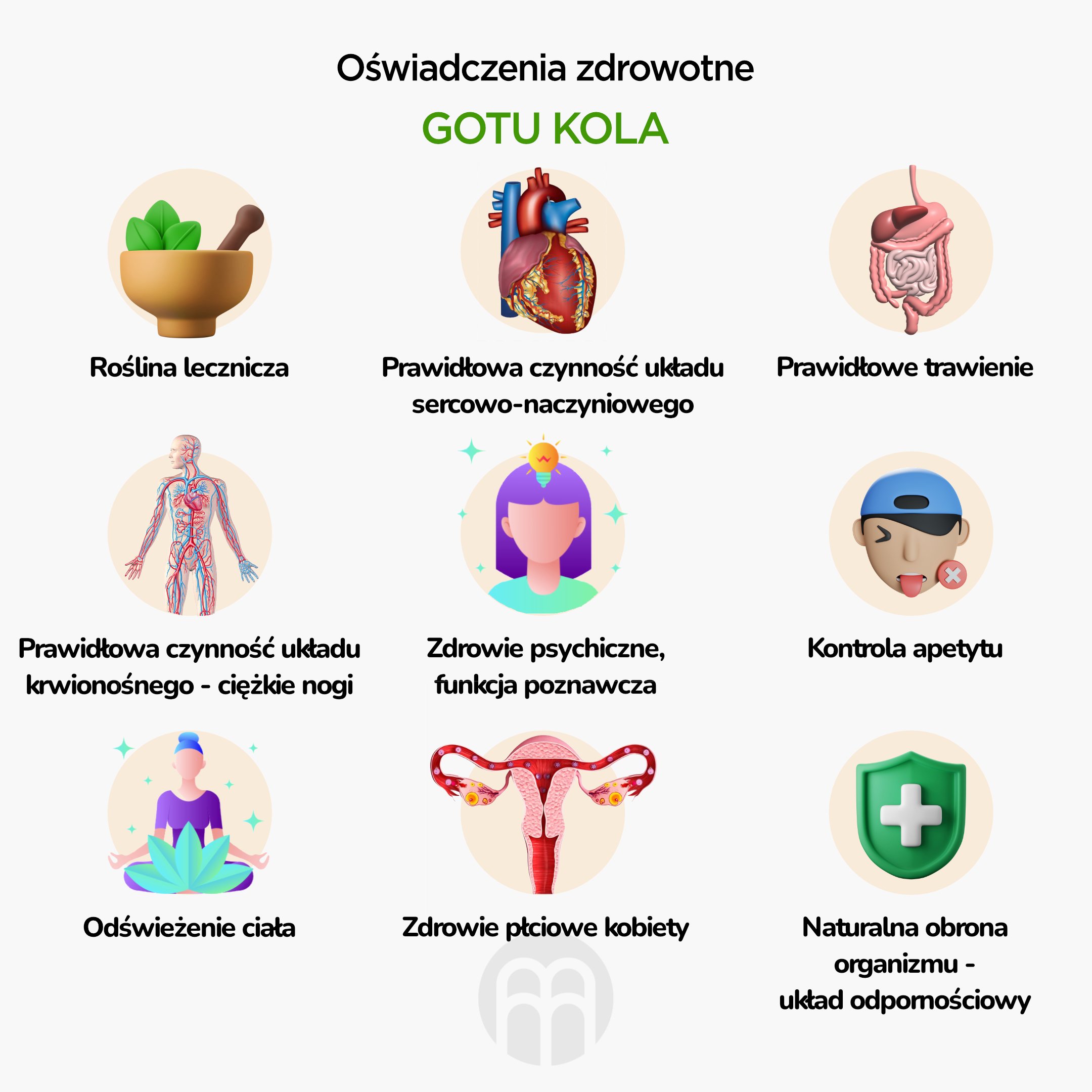 BrainMax Pure Gotu Kola tinktura 1:1, 100 ml Obrázek