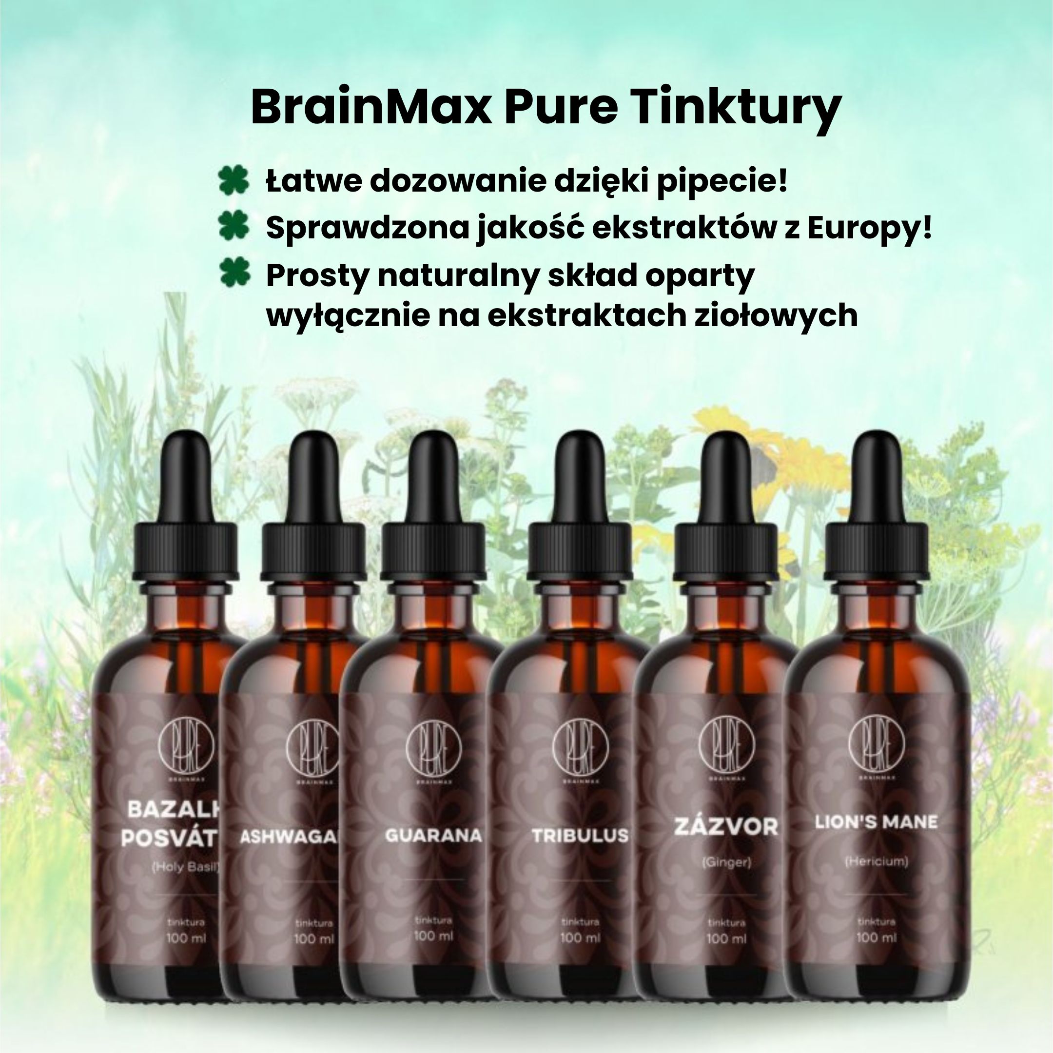 BrainMax Pure Lékořice (Liquorice root), tinktura 1:1, 100 ml Obrázek
