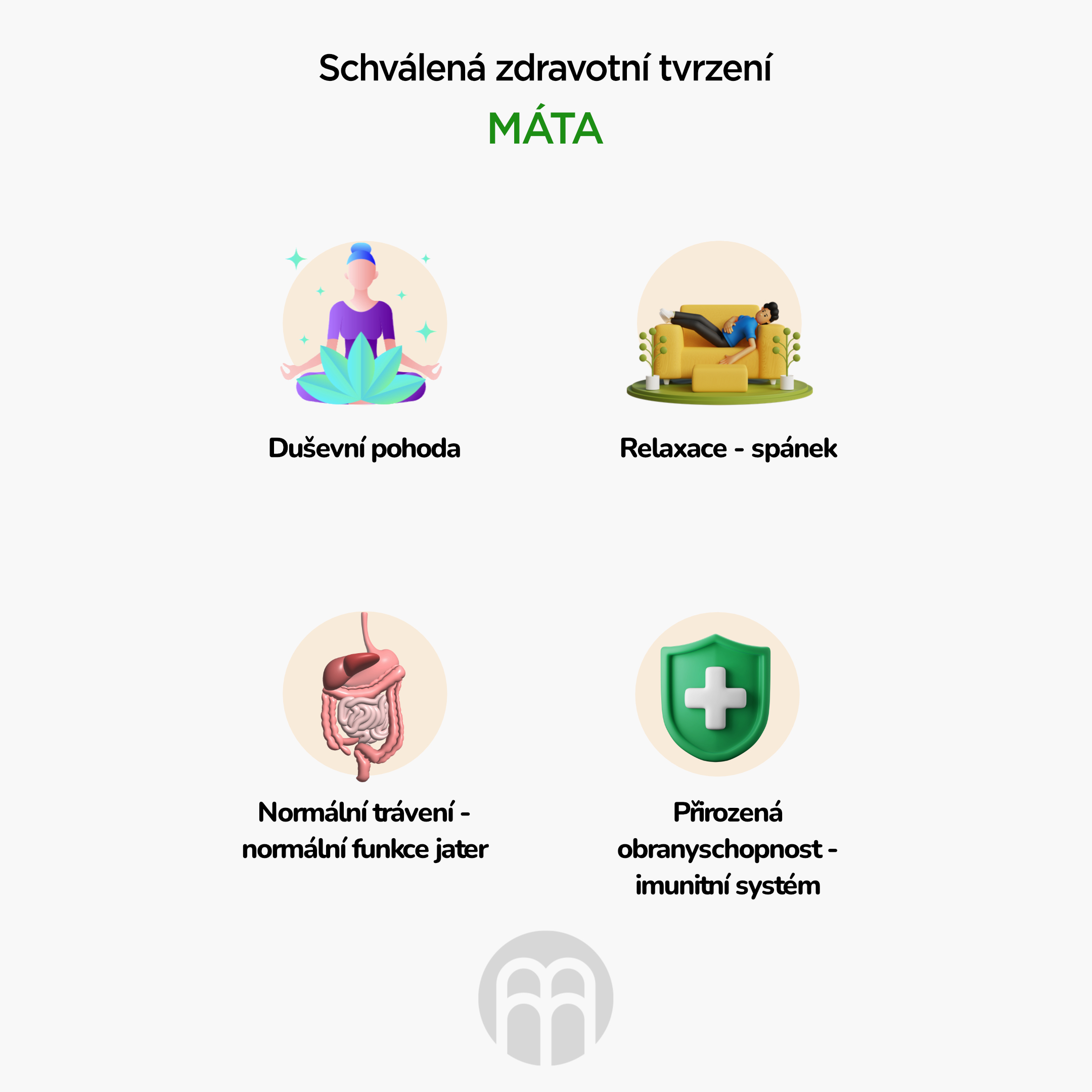 BrainMax Pure Máta (Spearmint) tinktura 1:4, 100 ml Obrázek
