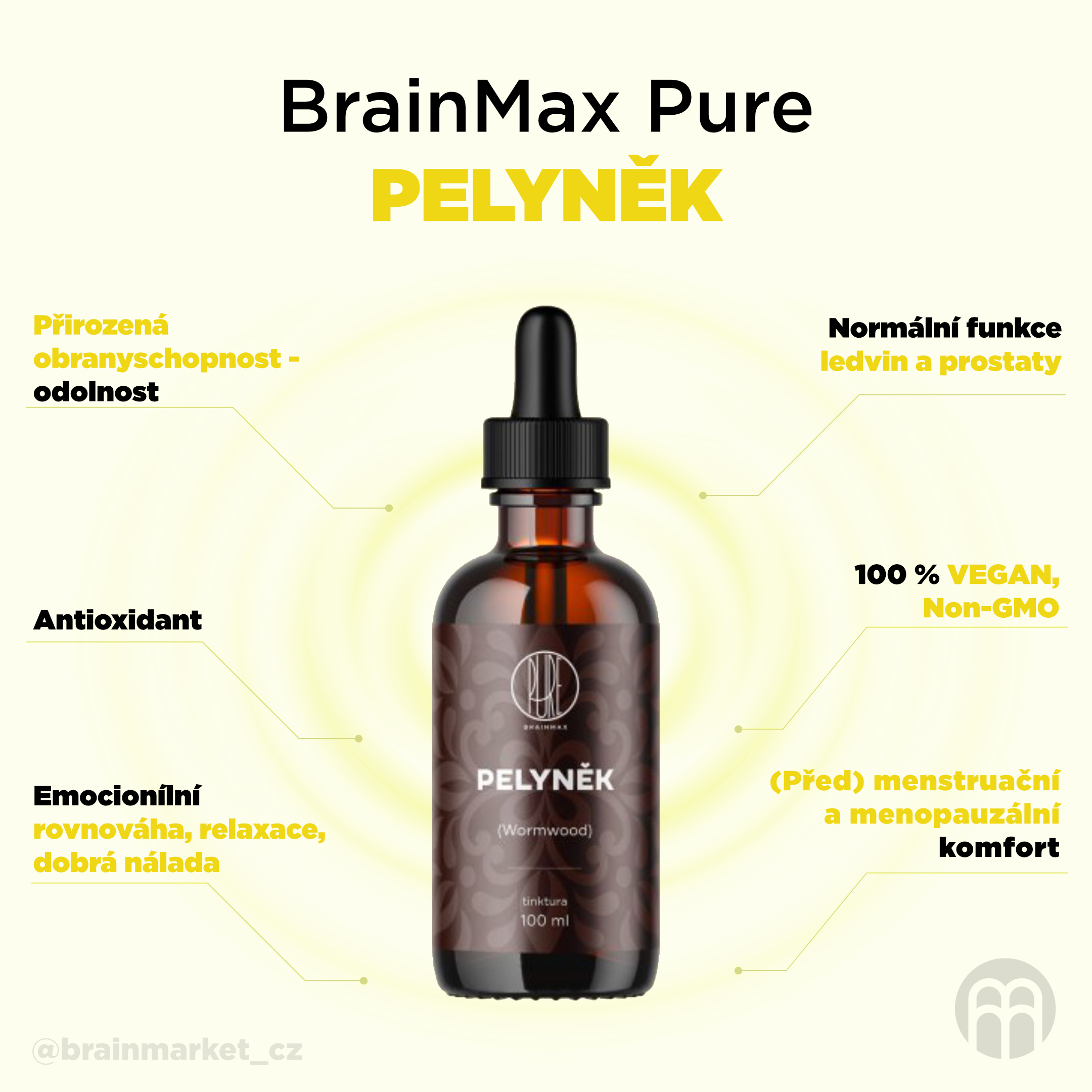 BrainMax Pure Pelyněk (Wormwood) tinktura 1:3, 100 ml Obrázek