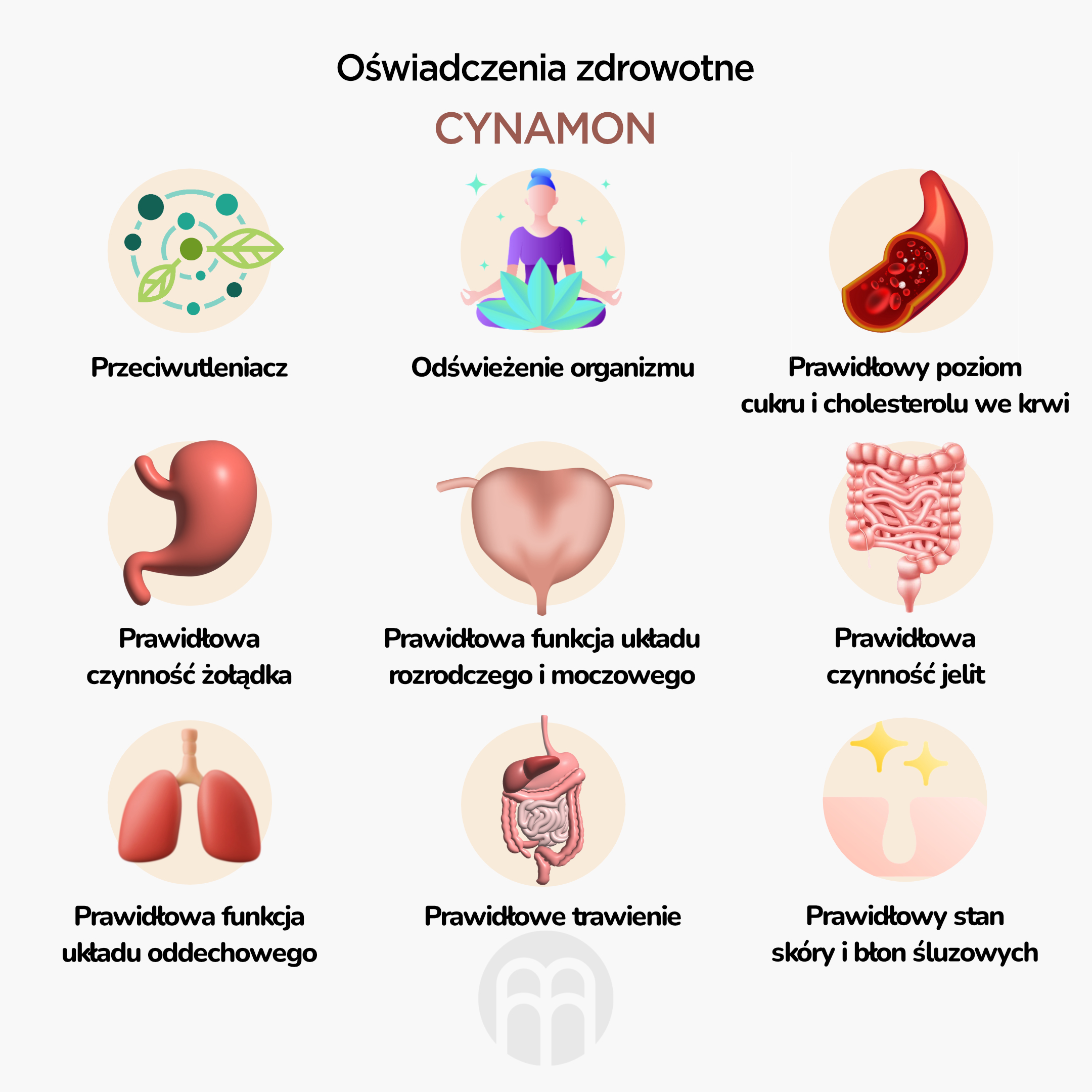 BrainMax Pure Skořice tinktura (Cinnamon bark) 1:3, 100 ml Obrázek