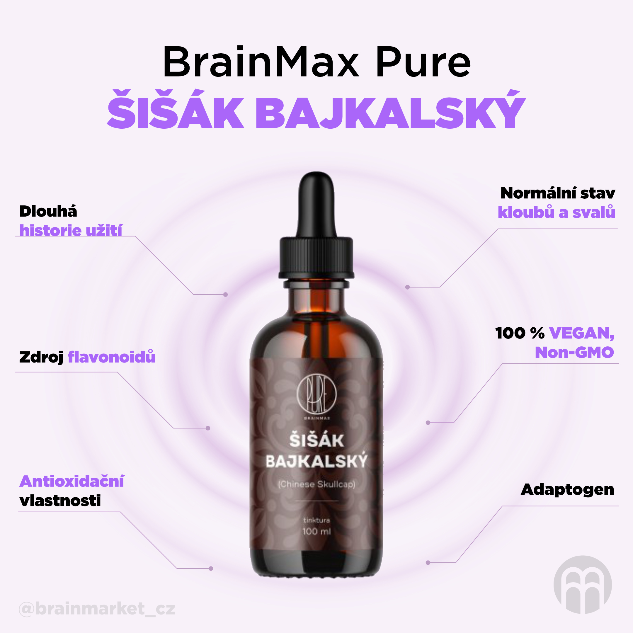 BrainMax Pure Šišák bajkalský (Chinese Skullcap) tinktura 1:3, 100 ml Obrázek