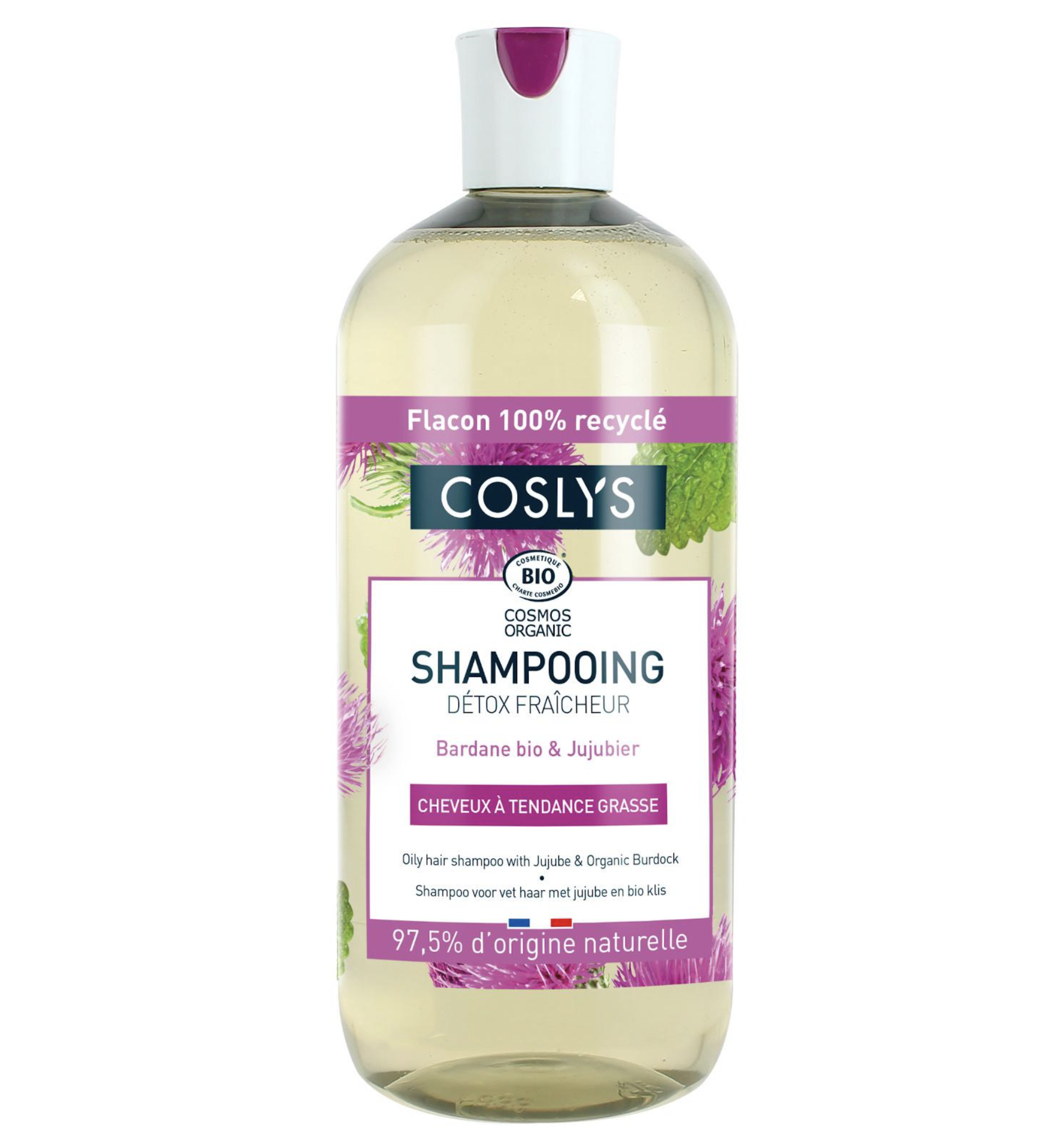 COSLYS - Šampon pro mastné vlasy lopuch a jujuba, 500 ml