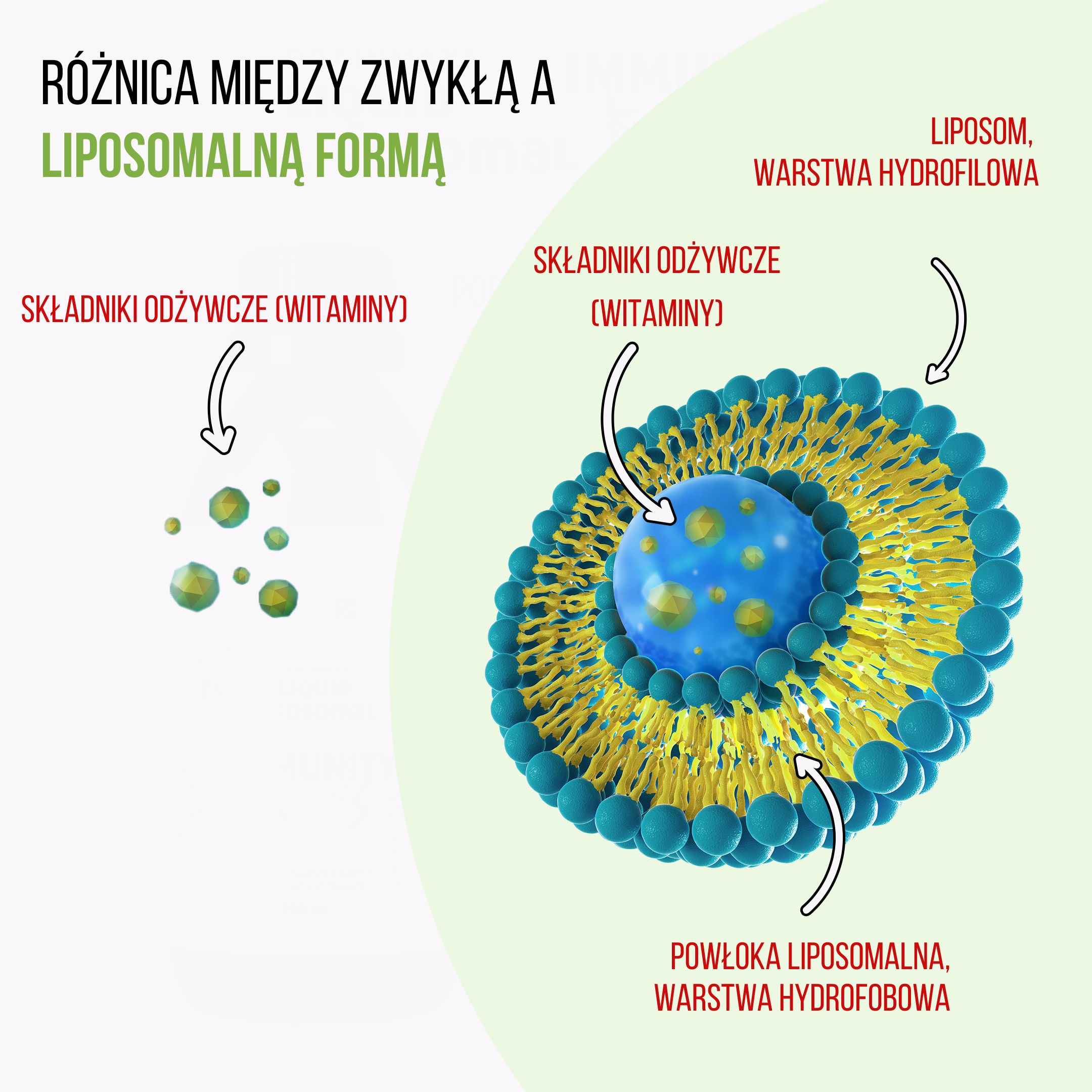 BrainMax Lipozomální komplex pro podporu imunity, ISENOLIC®, 200 ml Obrázek