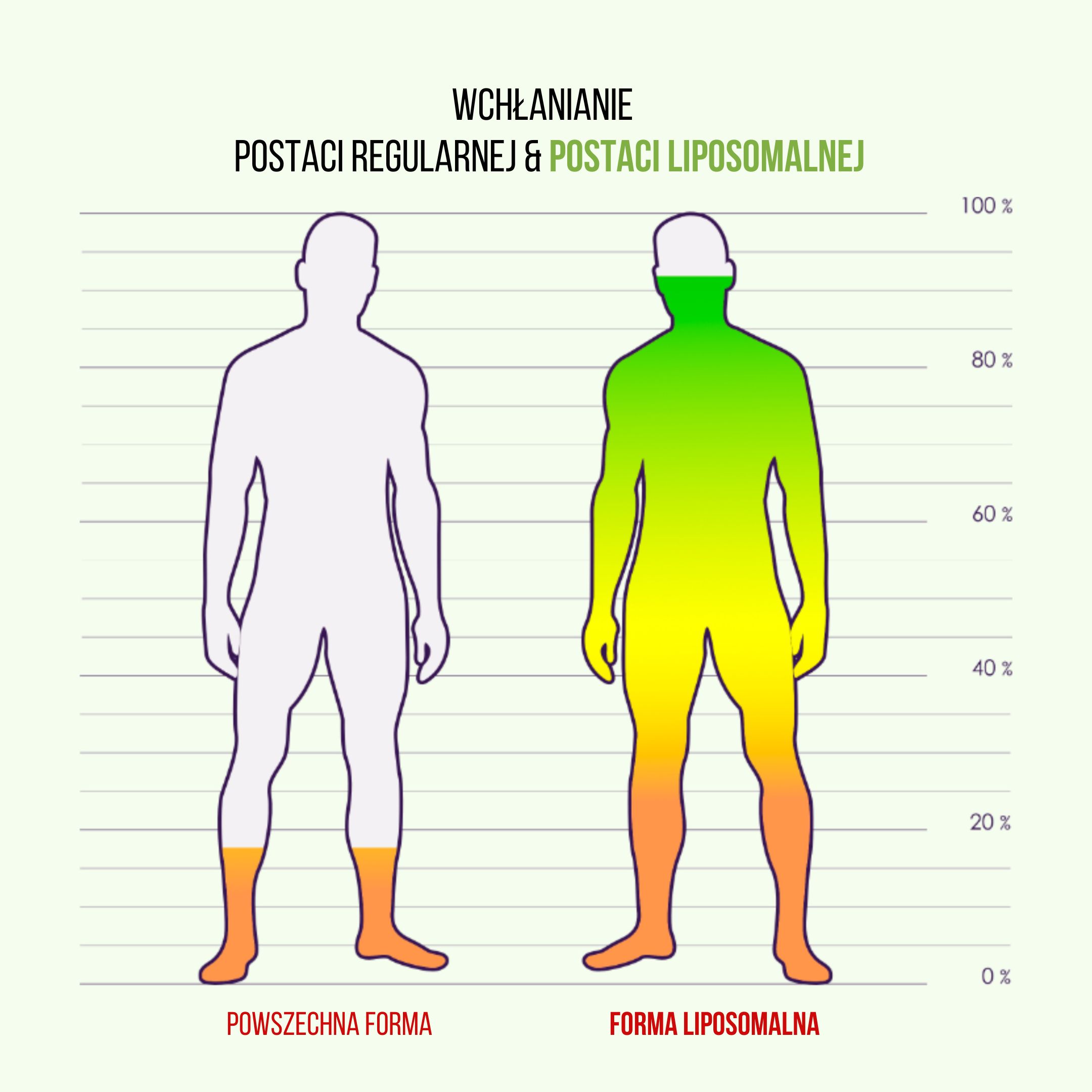 BrainMax Lipozomální komplex pro podporu imunity, ISENOLIC®, 200 ml Obrázek