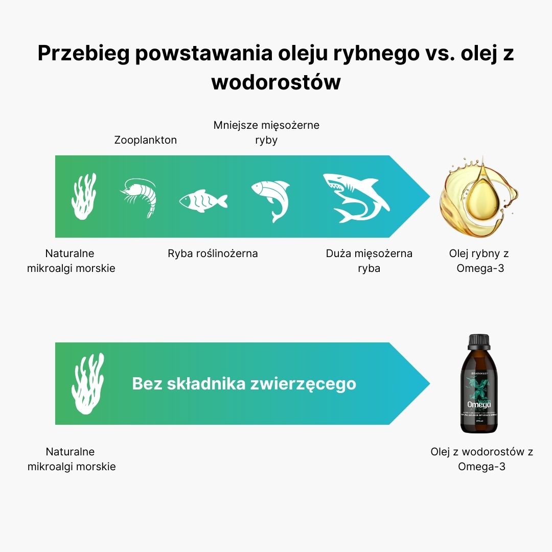 BrainMax Vegan Omega 3, 2850 mg DHA & EPA, 275 ml Obrázek