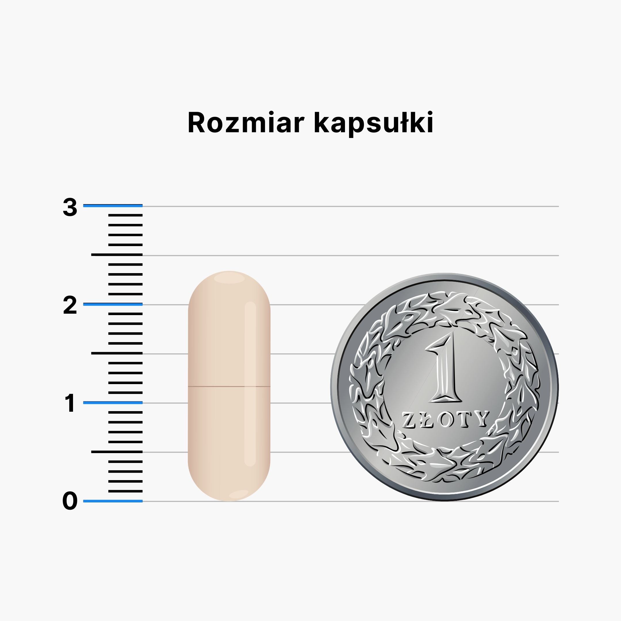 BrainMax IMMUNIZER! 60 rostlinných kapslí Obrázek