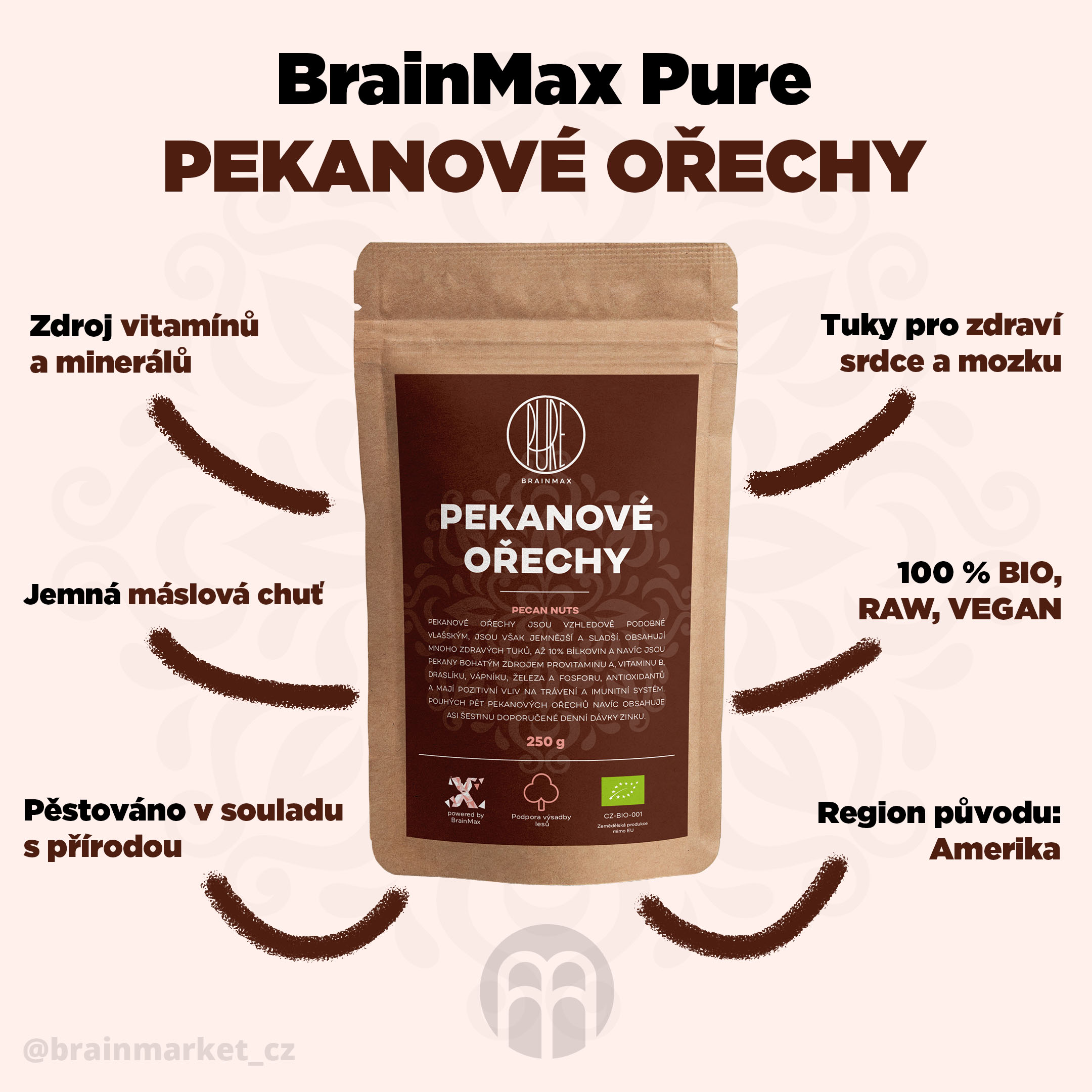 BrainMax Pure Pekanové ořechy BIO, 250 g Obrázek
