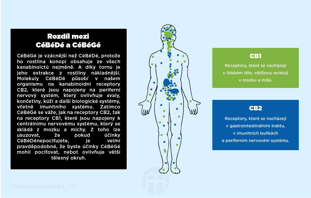 BrainMax CéBéGé & CéBéDé synergy 5%, éterický olej, 10 ml Obrázek